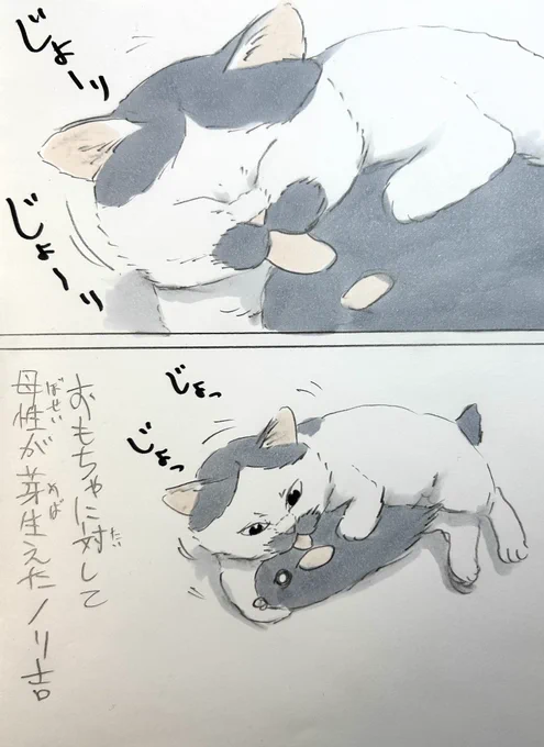 まいにちノリ吉