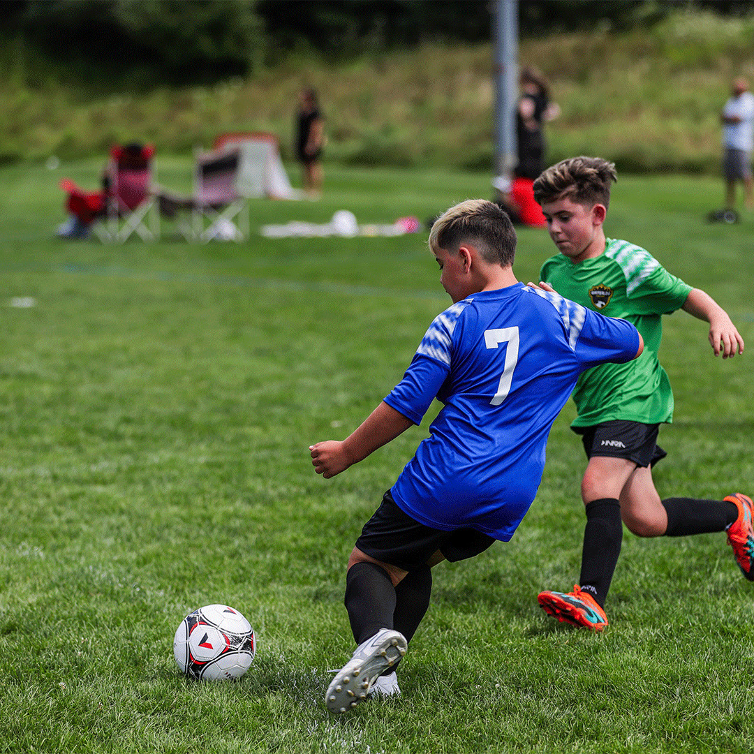 WMSC1971's tweet photo. Thank you to everyone who participated in our 2023 Summer House League and made it a success! 

Thank you to all the volunteers, coaches, players, parents, referees! We can't do this without you 🤝

We look forward to seeing everyone during our indoor season 🤩

#WMSC1971 https://t.co/sejpYmPbYl