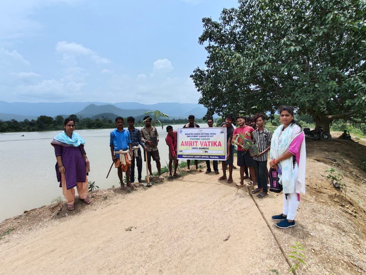 DebendraNegi's tweet photo. Plantation Drive is going on in all GPs under the Amrit Vatika program # Azadi ka Amrit Mahotsav of MoRD, GoI. Feeling privileged to be a part of this unique program in Bargarh District. @DMBargarh  @OdishaMgnregs @zpbargarh @PMOIndia @CMO_Odisha https://t.co/0RZBlkes4H