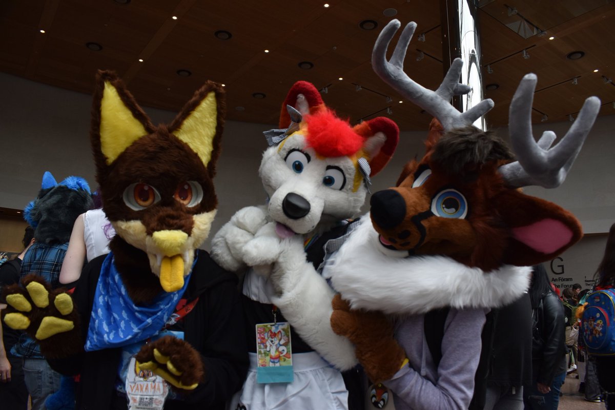 zenfreeotter's tweet photo. had a wonderful day out at Dublin comic con on Saturday and got to meet loads of great people https://t.co/TcXiUluFVK