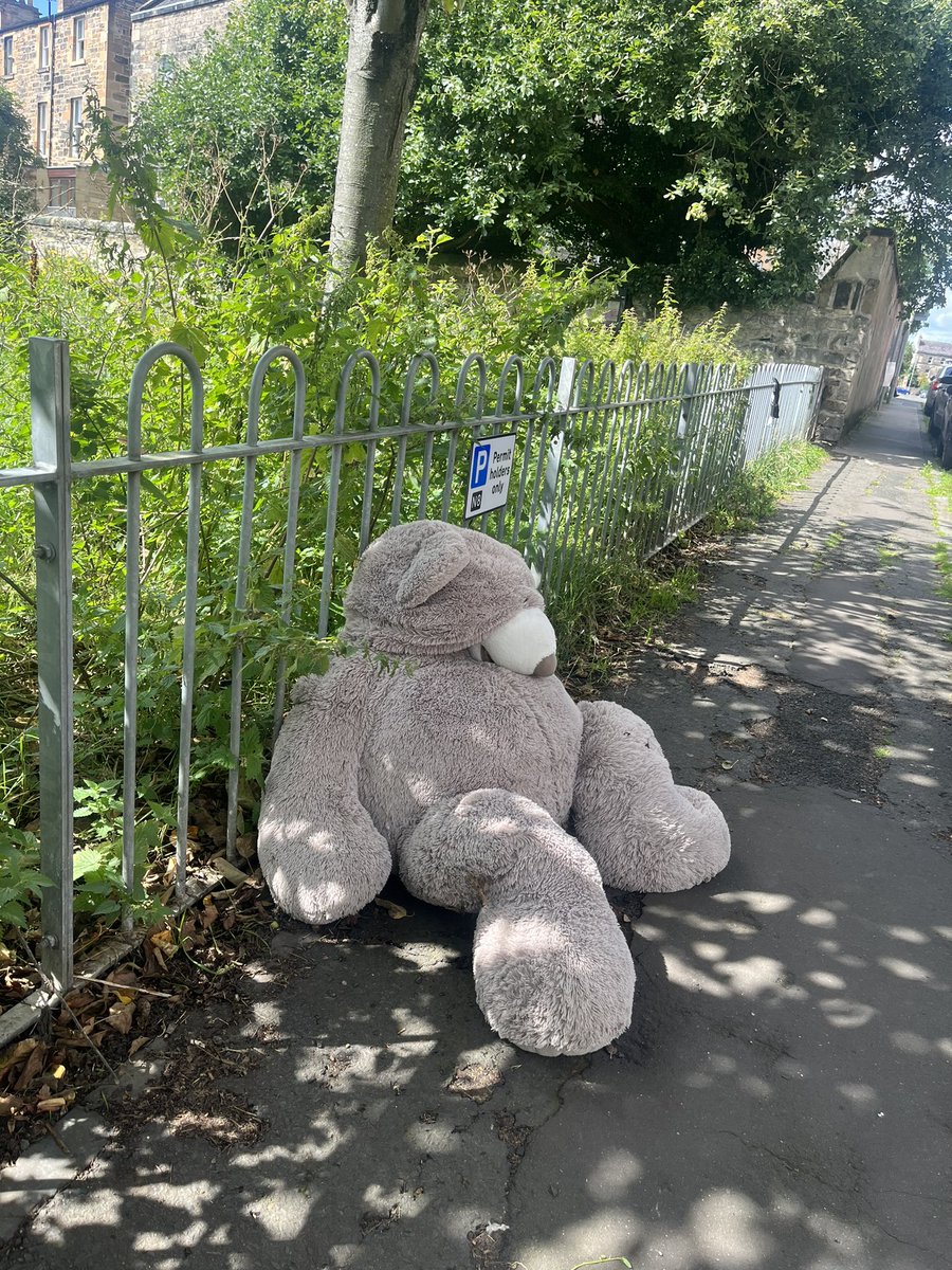 Emma Lally tweet media