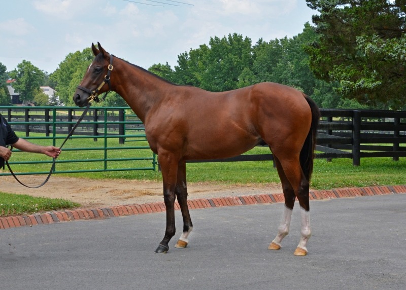 Gainesway tweet media