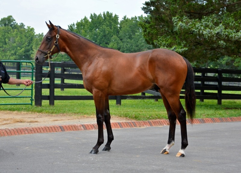 Gainesway tweet media