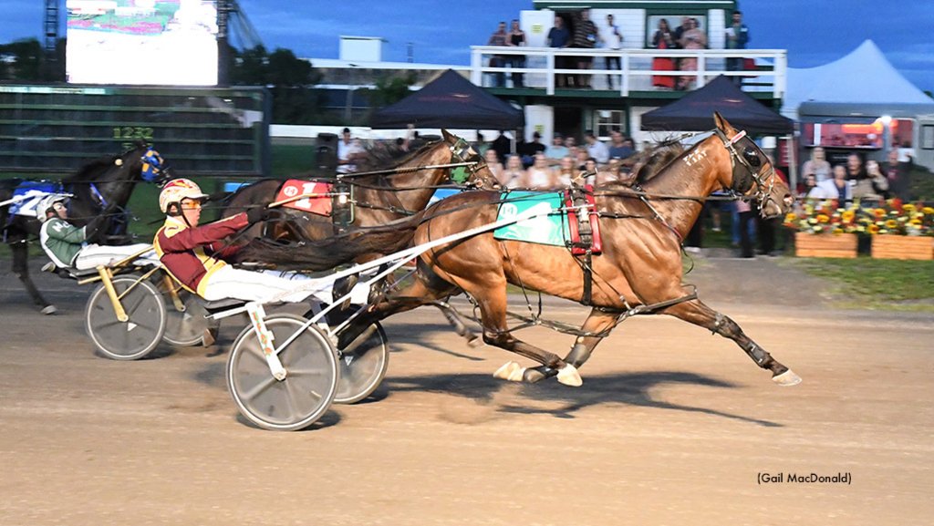 Jeff Gillis trainees Funatthebeach N and Covered Bridge swept the first two trials of the Gold Cup and Saucer for driver Scott Young on Saturday (Aug. 12) at <a href="/Red_Shores/">Red Shores 19+</a> Racetrack and Casino at the Charlottetown Driving Park → bit.ly/445JEKf #harnessracing