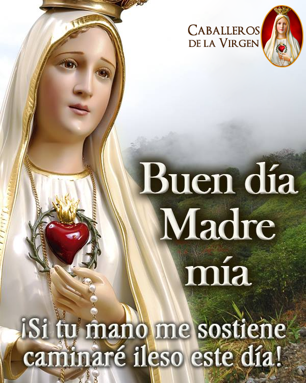 Cab_Virgen's tweet photo. Buenos días.
Quiero caminar contigo, María, pues tú eres mi Madre, eres mi guía. Tú eres para mí el más gran ejemplo de santidad y de humildad.
Quiero caminar contigo, María, no solo un momento, pues todos los días necesito tu amor de Madre y tu intercesión ante el Señor. Guía https://t.co/4WID9wAIHd