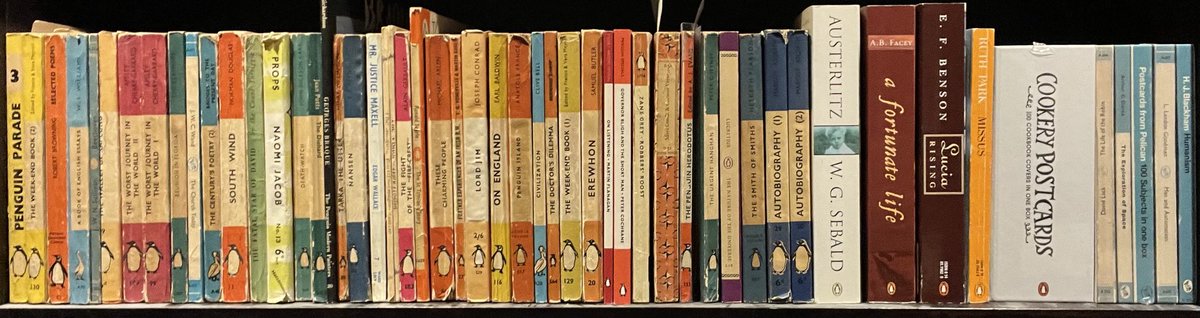 Three shelves of (mostly) Penguins and Fawcett Gold Medals. #amreorganising #paperbacks #Sunday #bookshelfie