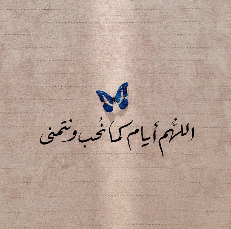 Ghrebaa's tweet photo. 🦋♥️🦋 https://t.co/lvklchq1Iq