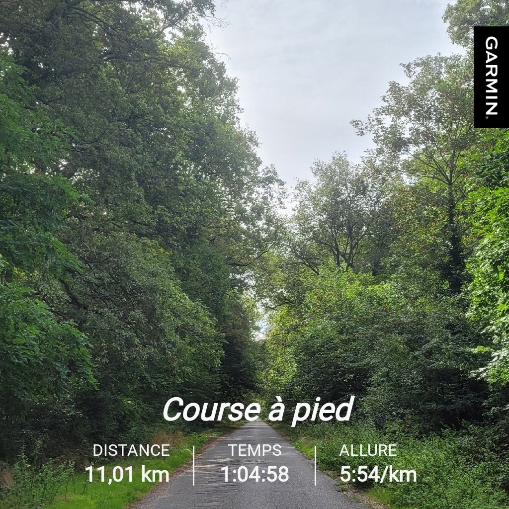 Alex22_86's tweet photo. Le lieu du bien-être 🧘♂️ 30kms dans le week-end ✅️ #running #runpassion #runplanet #runningaddict #hoka #holiday #foretdesenart https://t.co/kSdxTnHmrg