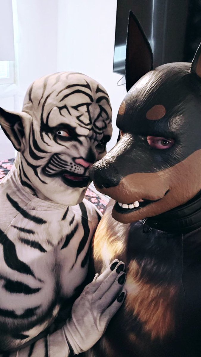Caturday with <a href="/Tenki_rubberpup/">Pup Tenki</a> 

#rubberpup #forfun #rubberdawg #cfxkhan #transformationfetish