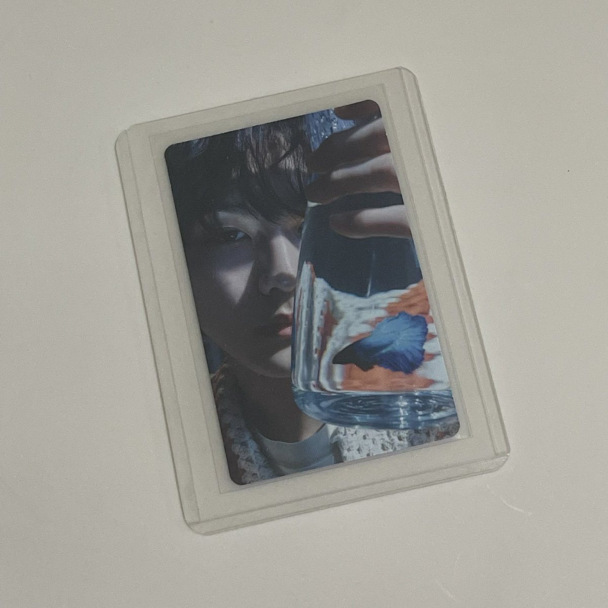 dollwonyy's tweet photo. 𓆩ᥫ᭡𓆪 #jjangmail 

✎  hi @hnhmre .ᐟ jungwon senkou 🐟 lim b arrived home safely thank u sm for letting me adopt him 🤍

#hnhmreproofs https://t.co/gt98W6hrRq
