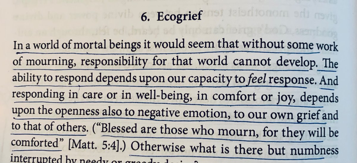 Studying responsiveness, always. Theologian Catherine Keller on the connection between mourning & responsibility. “The ability to respond depends upon our capacity to feel response…the openness also to negative emotion, to our own grief and that of others.”