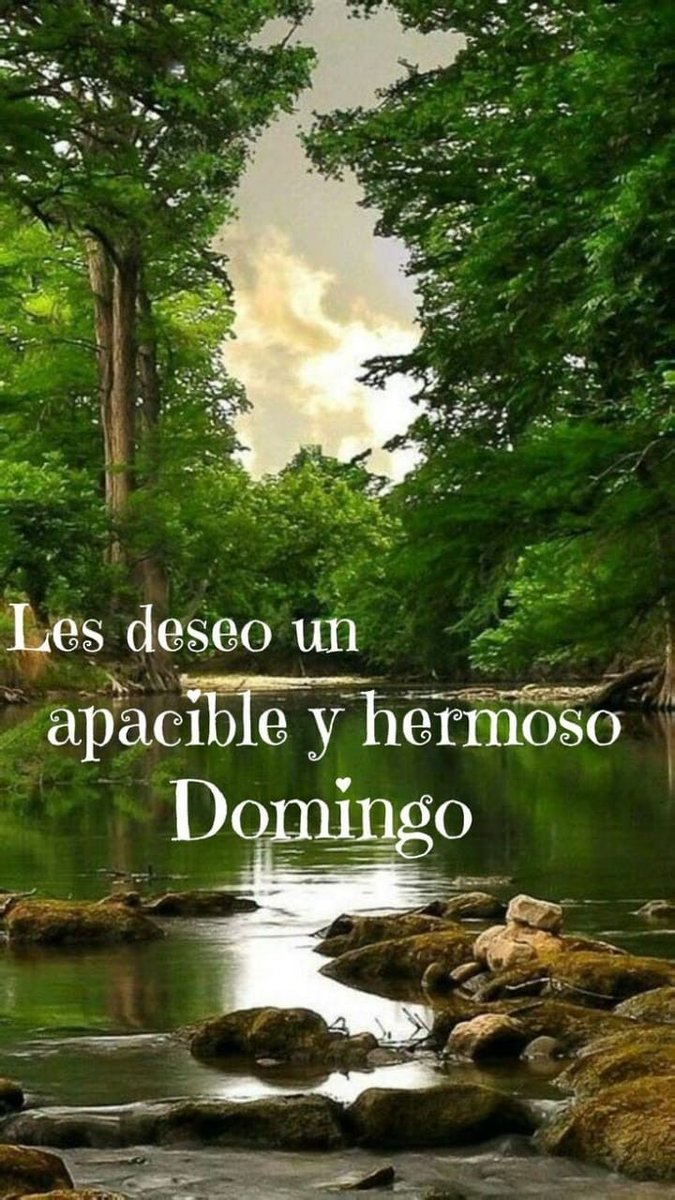 Saludos abrazos que tengan un lindo dia para todos