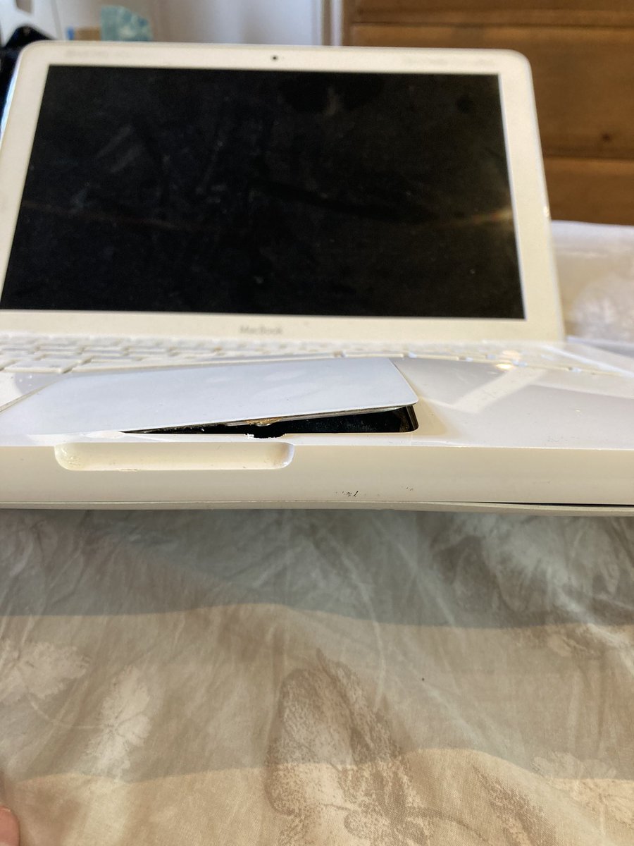 Marianne Levy tweet media