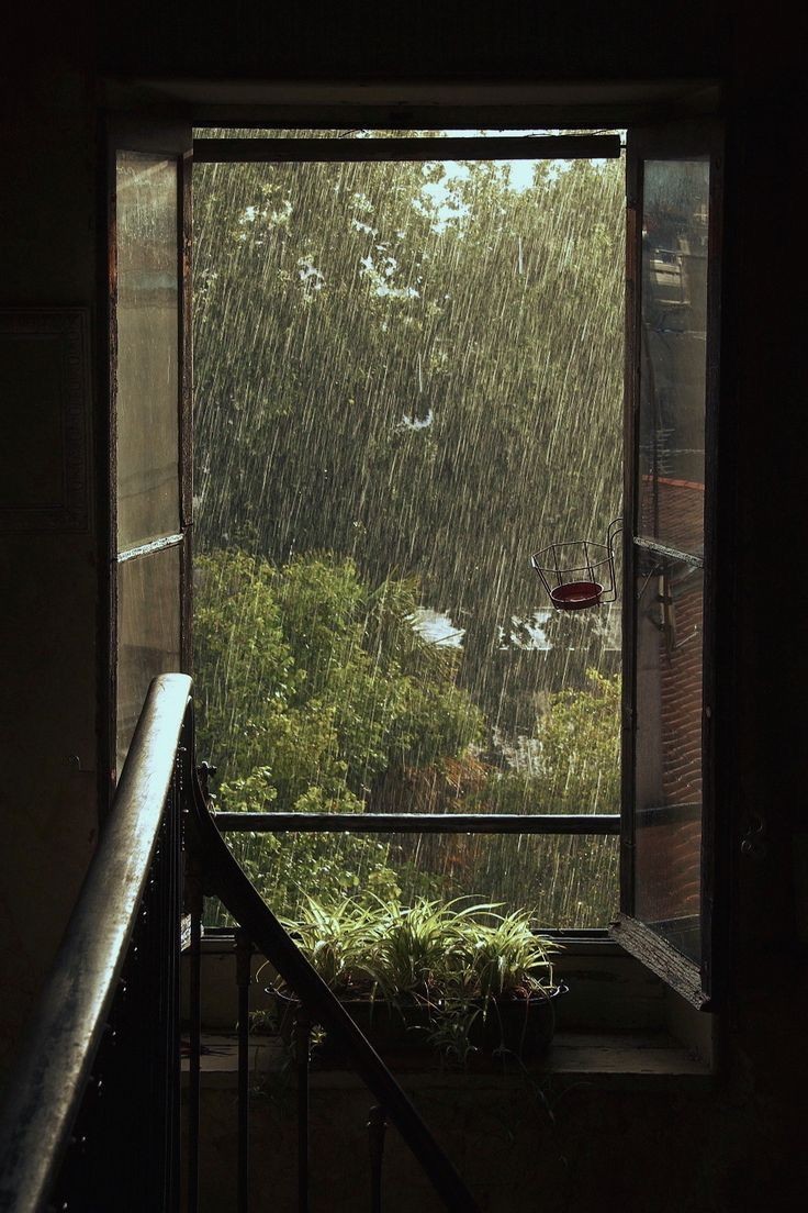 longing for a rainy day.