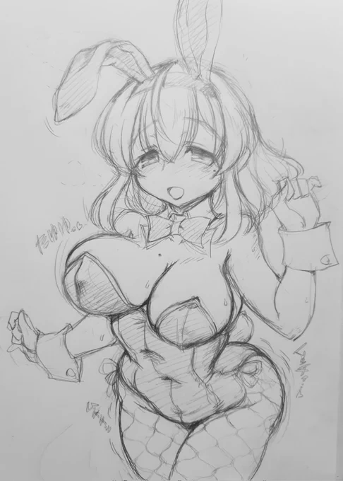 つまりは僕は僕のバランスから大きく外れたキャラ造形をするのが苦手なんですわな。いや普通のことだけど。それでもそれなりに描けるものの範囲は広げたくて。(例:胸をでかく描こうとしてきた形跡) 