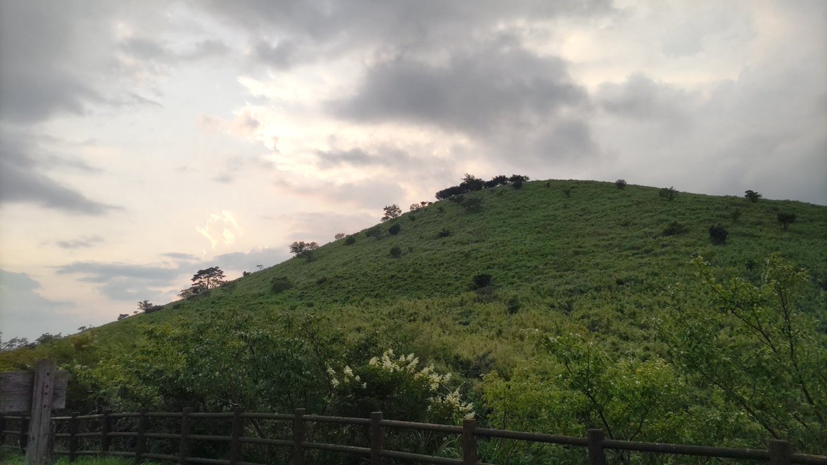 訪問医療マッサージ　あいあいマッサージ tweet media