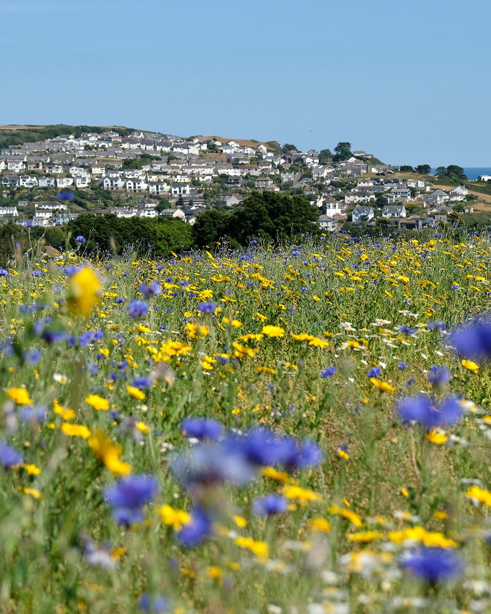 Eden Project tweet media