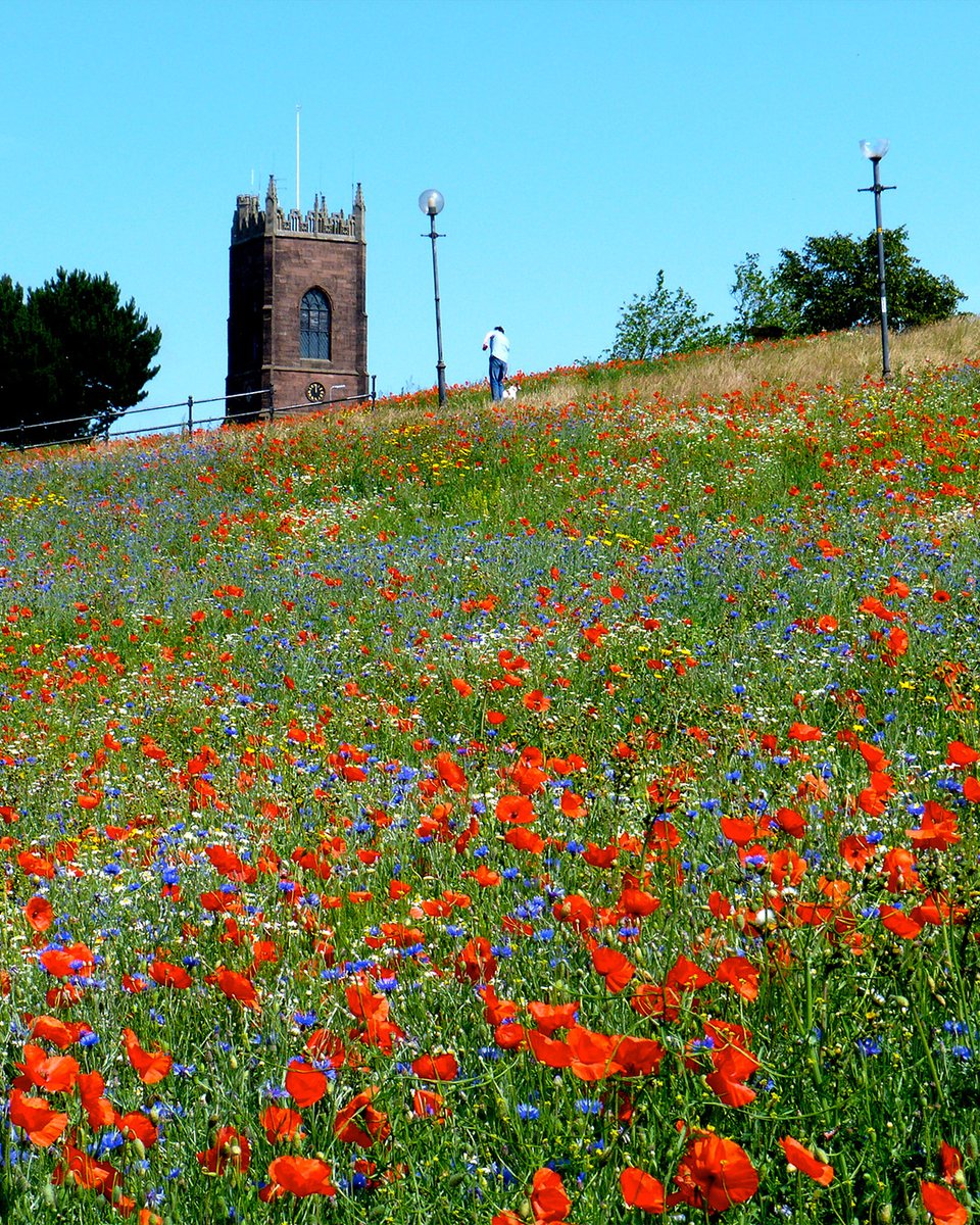 Eden Project tweet media