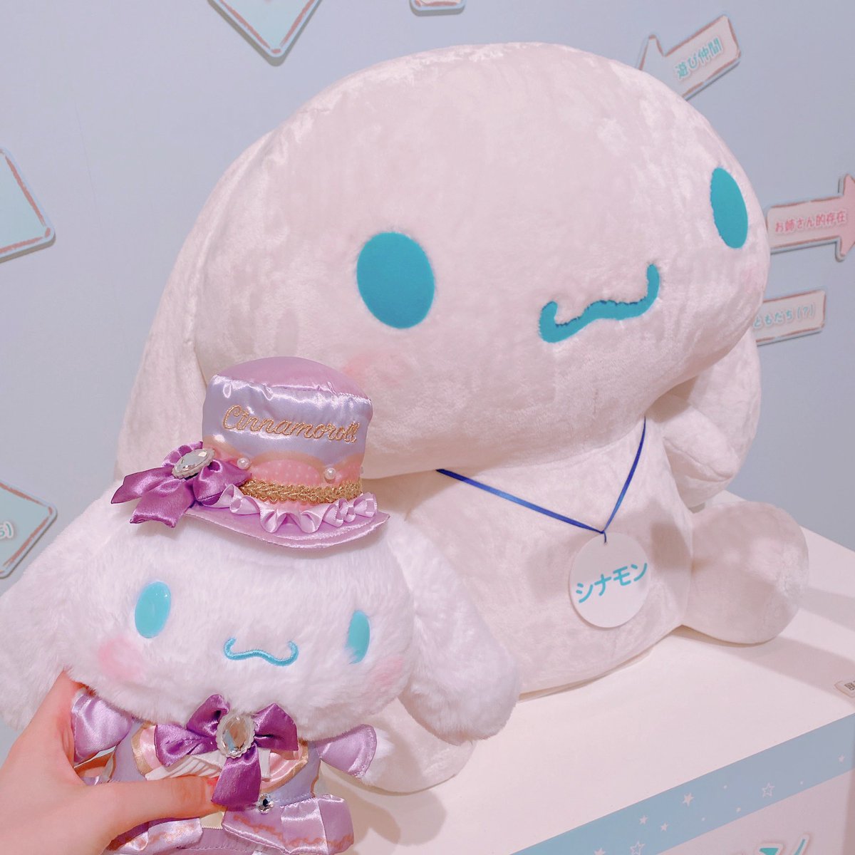 「帰りに友達とシナモロール展૮ .  ̫ . ა๑ 500体限定の新衣装シナモンさ」|🍭あめたん🎐のイラスト
