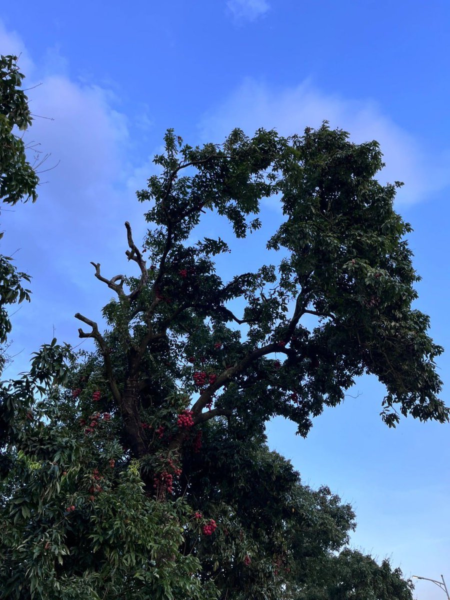 As long as you are willing to believe, then there is no failure, only a temporary suspension of success.