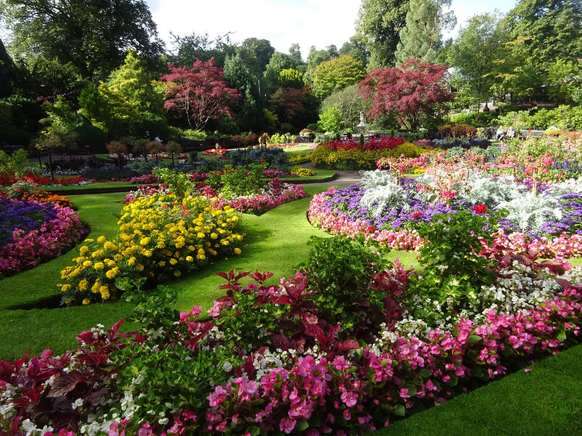 Mark Wasilewski tweet media