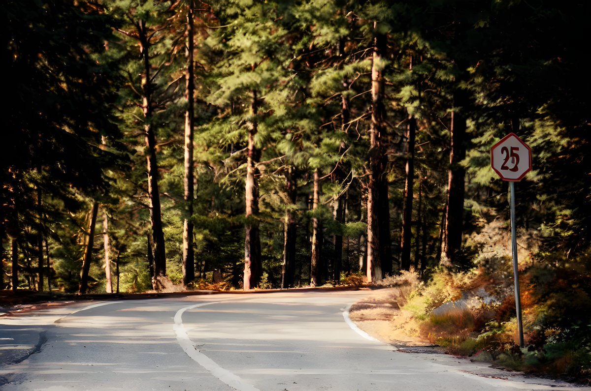AiartMy58908's tweet photo. Forest Road
#ai #aiart #myaiartpage #phototoart #digitalart #tower #ancienttower #magictower #mountains #forest #forestroad #road
https://t.co/Hfgfw30HrW
(for full gallery) * work in progress * https://t.co/NMC7DRT8SR
