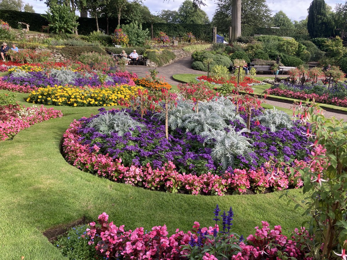 Mark Wasilewski tweet media