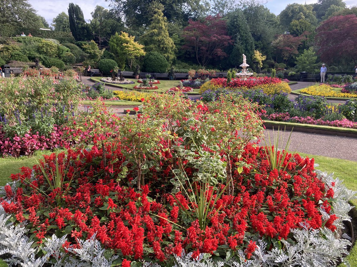 Mark Wasilewski tweet media