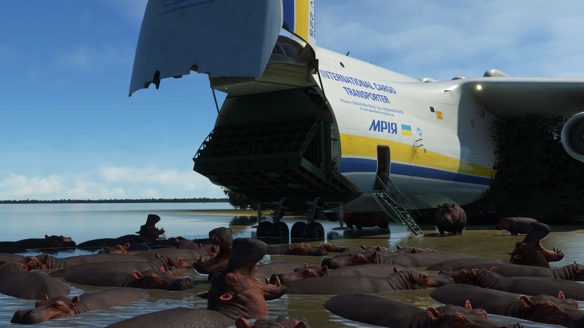 AvionChibi's tweet photo. 🦛#MSFSchallenge-5 #LakeChad #FTTL
これやりたかったネ☺️
みんなでパッカーン🦛🦛🦛✈ https://t.co/Vh5T5Kc7FA