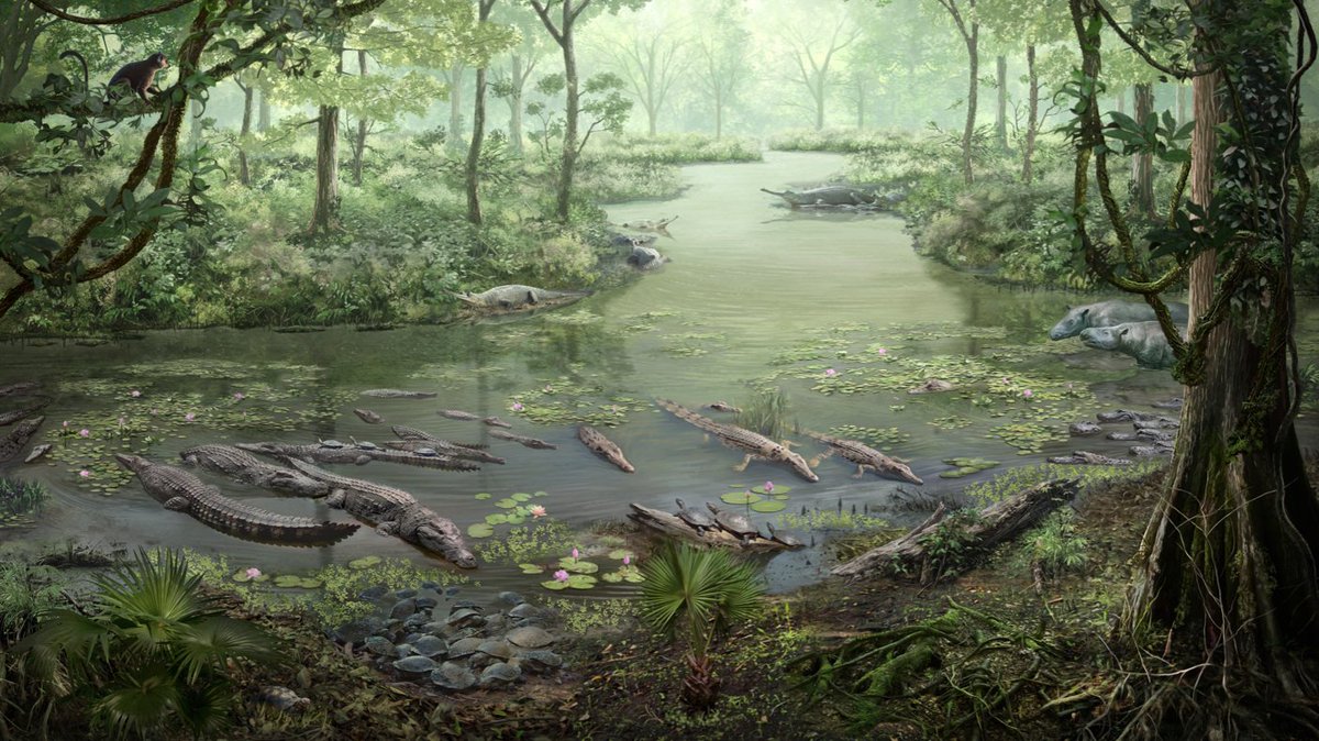 AsiaPaleofloras's tweet photo. Exceptionally well-preserved #crocodilian #coprolites 💩from the Late #Eocene of Northern #Vietnam: #Ichnology and #paleoecological significance 🇻🇳

https://t.co/vHYNw4F3ti #palynology #pollen #paleobotany #palaeobotany https://t.co/4SIfn5RqdQ