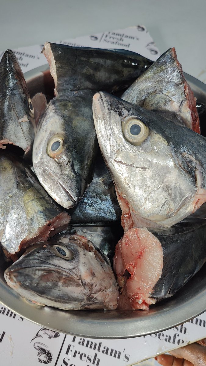 DID YOU KNOW? Eating fish head has lot of benefits specially for brain and skin. it is rich in omega 3 and vitamin E. Fish head is more nutritious than the fish itself. Kingfish Heads available at Kes 50 per pc ✅Order via 0721 639 601 ☑️ Delivery Charges Apply #fishheadsoup