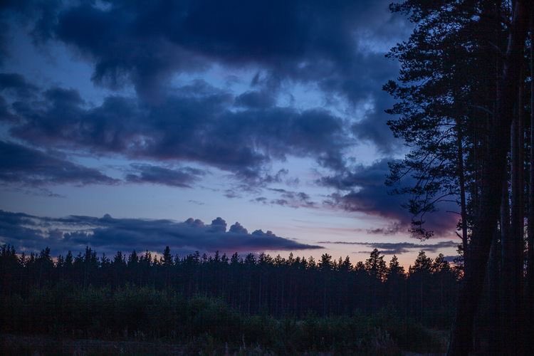violettweets_'s tweet photo. gloomy sky. https://t.co/7fx50T0DDH