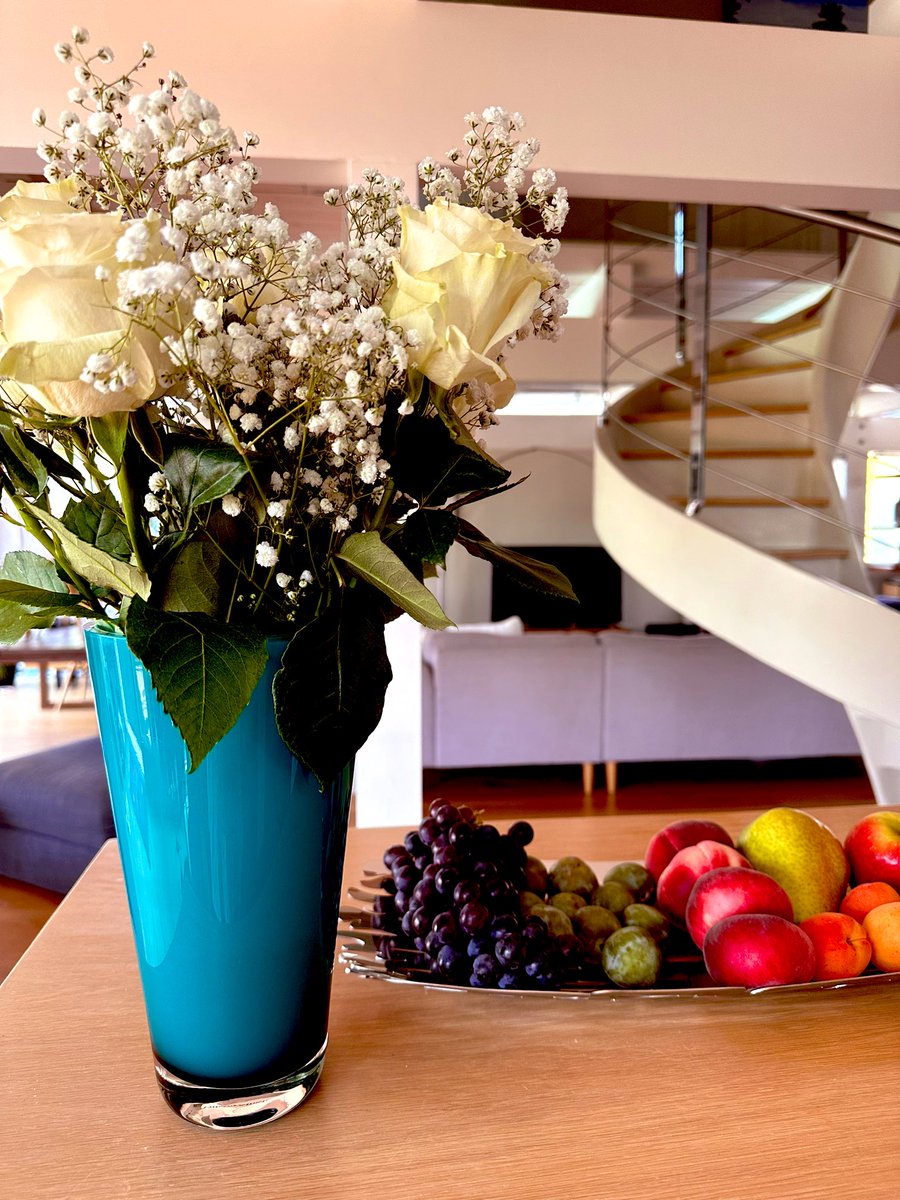 When you finally discover the Sunday market 5 minutes from your house, 5 years after you move to the neighborhood, and you become one of those people 😁😁