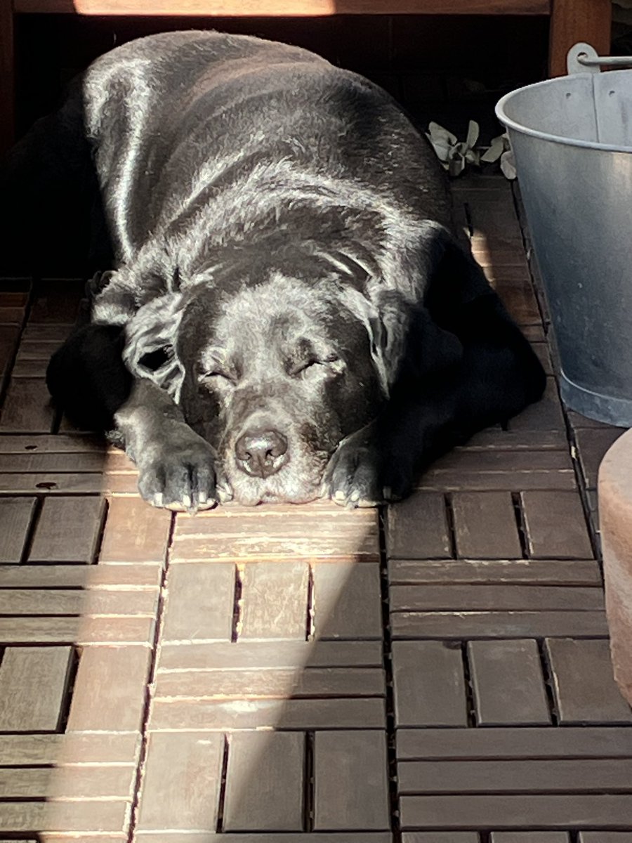 jrsahuquillo's tweet photo. Hoy @claramontesinos publica un post sobre Cooper ❤️❤️❤️, que cumple años.
https://t.co/jw0SQcEDPJ https://t.co/pm8pToEPgK