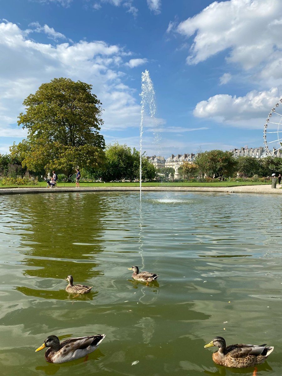 yy77177's tweet photo. The sky in Paris is like an ever-changing oil painting. It’s sunny in the west and rainy in the east. The blue sky and white clouds are not finished yet, but there is a rainbow quietly appearing in the Louvre 🌈 The sky is so charming. https://t.co/3E8MOiB64y