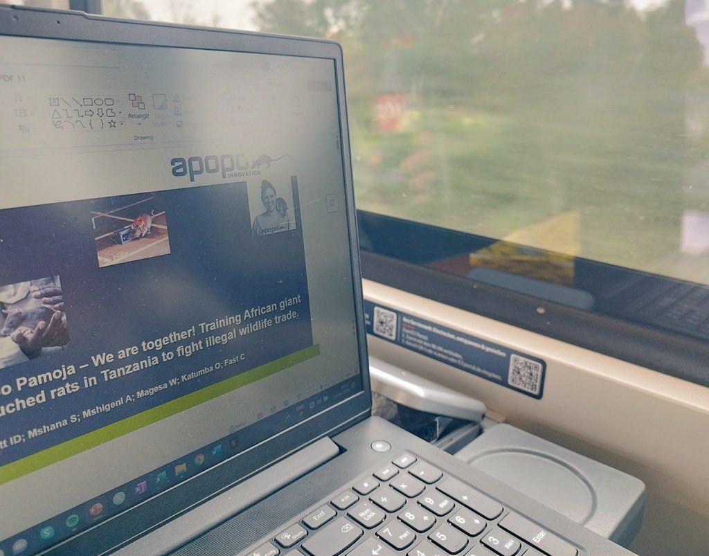 IzzySzott's tweet photo. En Route to #Behaviour2023 with final edits on my talk. If you want to hear about cute scent detection rats, community engagement in conservation, and how to fight illegal wildlife trade: Friday 12pm, Symposium Y! #PicsAndVidsIncluded #Tanzania #YayScience #AppliedScience https://t.co/tFLopGWfrp