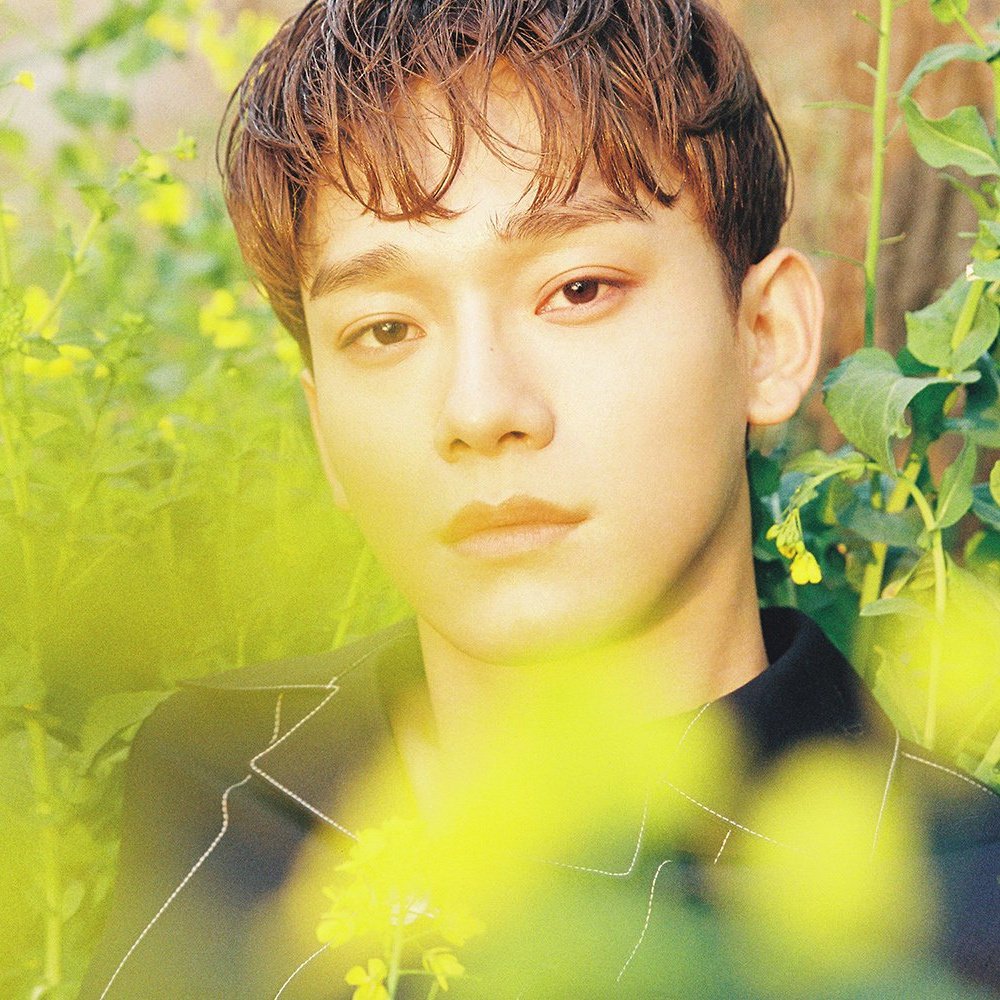 pluvialphile's tweet photo. April, and a flower⠀⠀⠀⠀⠀ポラリス (Polaris)

#김종대 #JONGDAE #첸 #CHEN https://t.co/YYH3iyCKsH