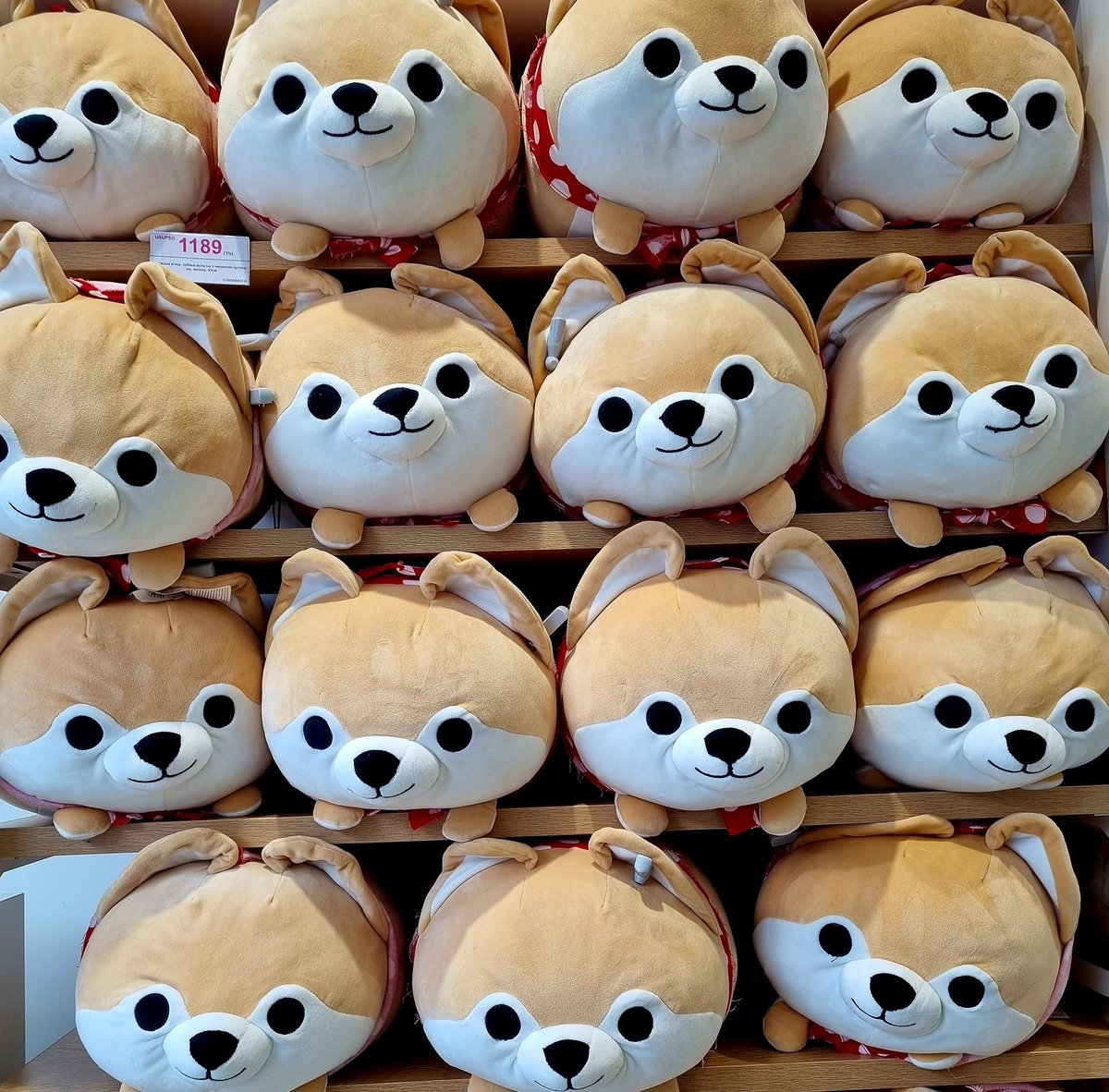 I just stepped into a toy store in Kyiv. Lo and behold, it is filled of patriotic 🐕 #Fellas A strategy to recruit young #NAFO memebers? #NAFOExpansionIsNonNegotiable