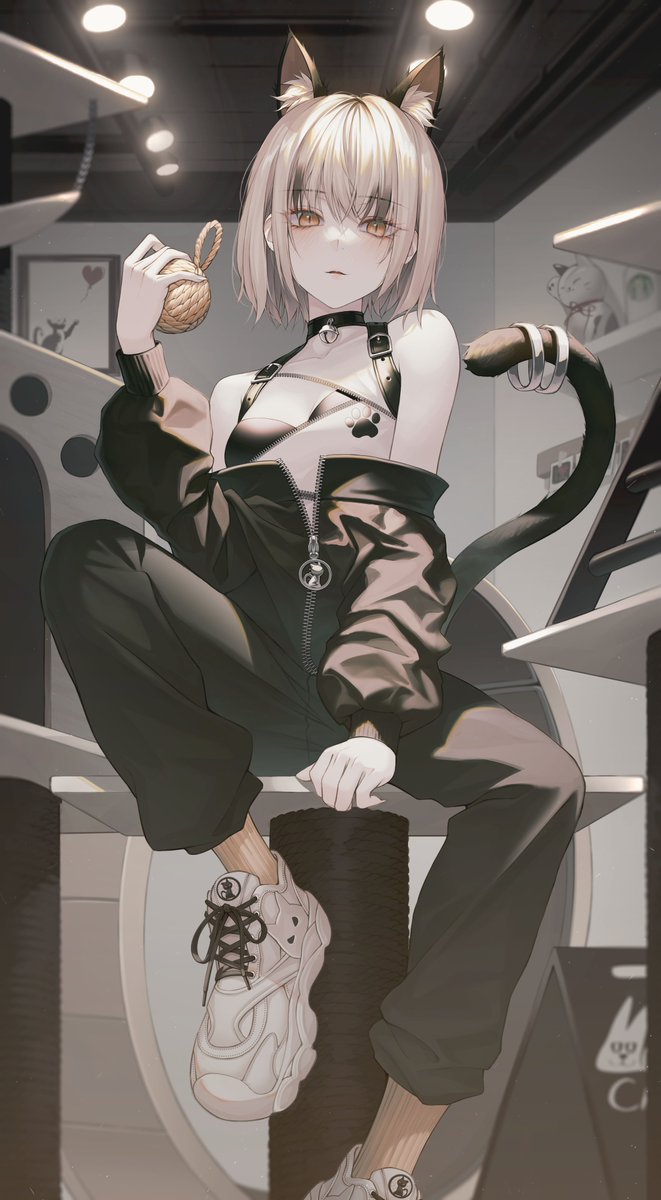 carnegie00's tweet photo. cat https://t.co/mCihZuK7gz