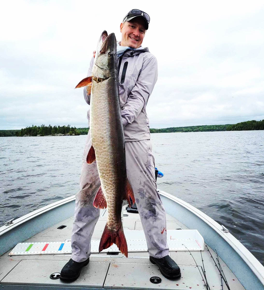 FishHuntPLC's tweet photo. There’s a new biggest musky on the leaderboard! Congratulations Dave Quale! This 50” Perrault Lake musky is a beauty!
#50club #catchofalifetime #musky #fishing #perraultlakecamp #leaderboard #catchbigfish #catchandrelease #fishcanada #Congratulations https://t.co/MYcSJtOOGp