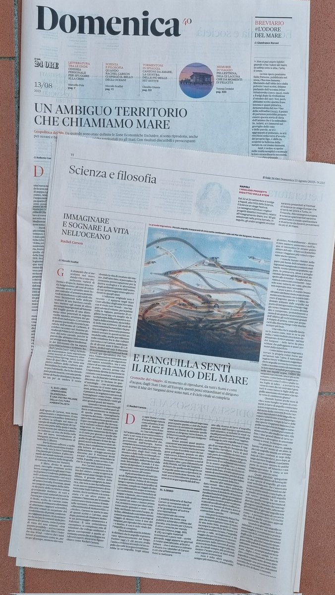 Una Domenica interamente dedicata al mare sul <a href="/sole24ore/">IlSole24ORE</a>, con Rachel Carson e le parole di <a href="/niccoloscaffai/">Niccolò Scaffai</a>.