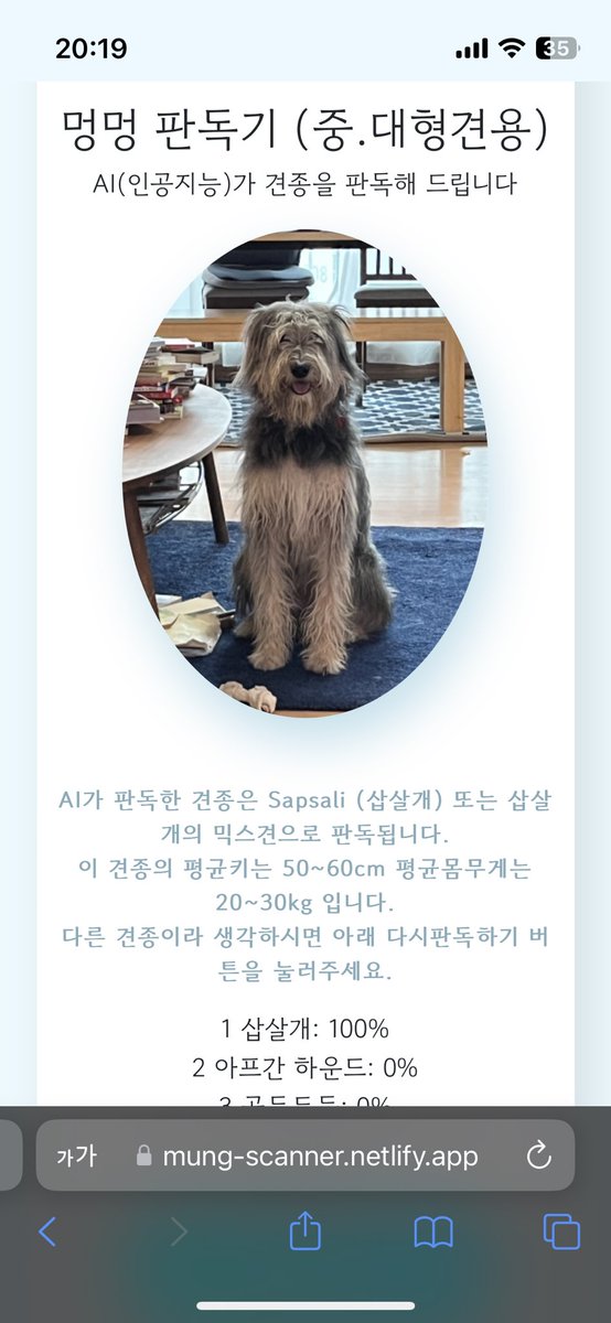 LeeHooChoo's tweet photo. AI도 의심하지 않는 삽살개 후추 ㅋㅋㅋ https://t.co/78vtTXZ1iM