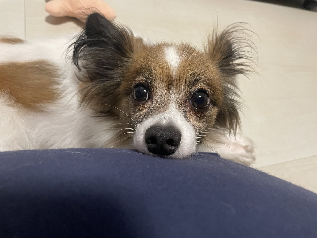 Loco20190408's tweet photo. こんなぶりっ子する男の子がいますか？❤️ https://t.co/5LvbG2YfJo