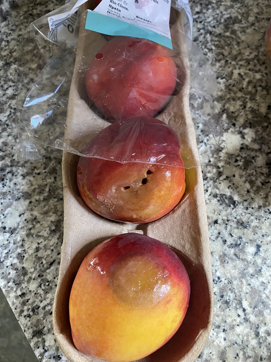 Anne Speak tweet media