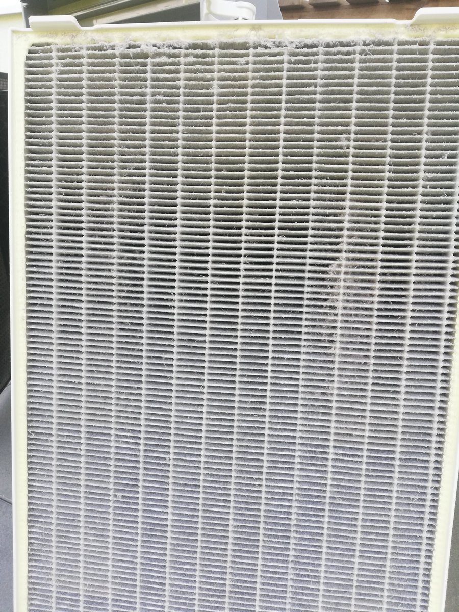 Wolf_Obermaier's tweet image. So schaut der HEPA-Filter des Atmosphere Sky aus vor dem Tausch auf einen neuen. Das 3. Bild ist der total verstaubte Vorfilter (der für's Grobe).
Mehr zum Luftfilter:
AT tinyurl.com/AtmosphereSkyAT
DE tinyurl.com/AtmosphereSkyDE
#luftfilter #atemluft #wegmitdemdreck