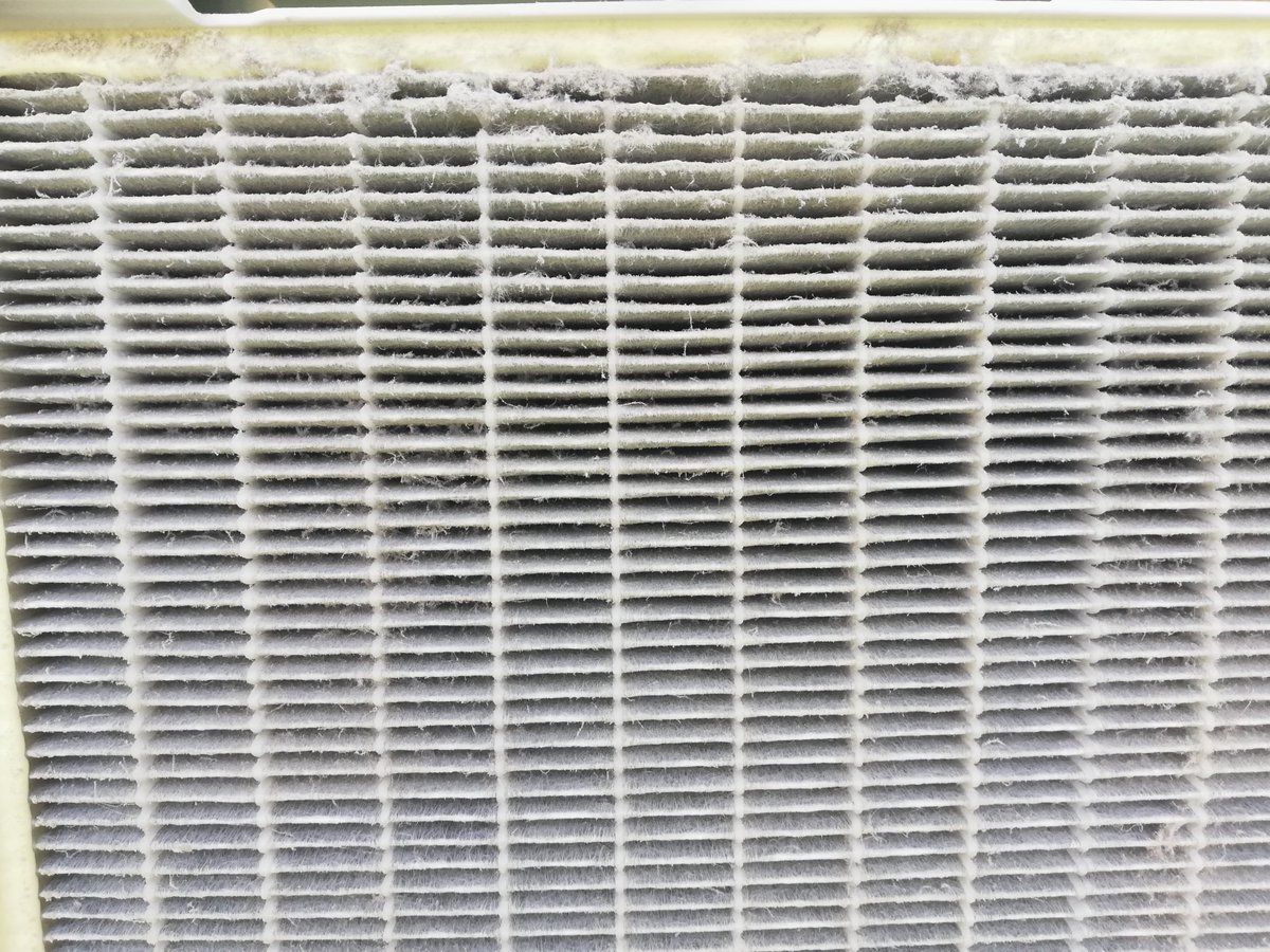 Wolf_Obermaier's tweet image. So schaut der HEPA-Filter des Atmosphere Sky aus vor dem Tausch auf einen neuen. Das 3. Bild ist der total verstaubte Vorfilter (der für's Grobe).
Mehr zum Luftfilter:
AT tinyurl.com/AtmosphereSkyAT
DE tinyurl.com/AtmosphereSkyDE
#luftfilter #atemluft #wegmitdemdreck