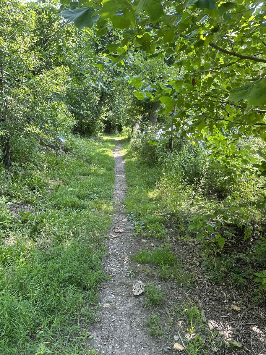 RiverfrontNorth's tweet photo. Your riverfront trail is waiting... go explore!
#pennypackonthedelaware #delawareriver #northeastphilly #hiddenphilly https://t.co/8jLGhA73hK