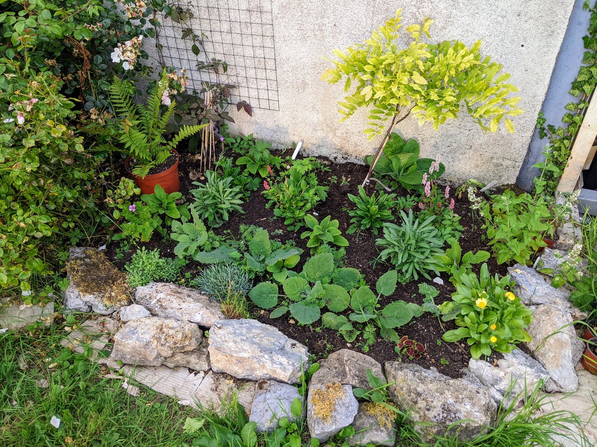 Smallholders Ireland tweet media