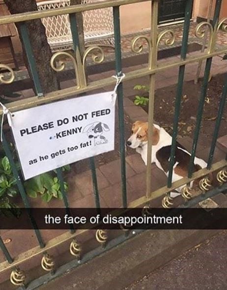 Life Is Worth Living tweet media