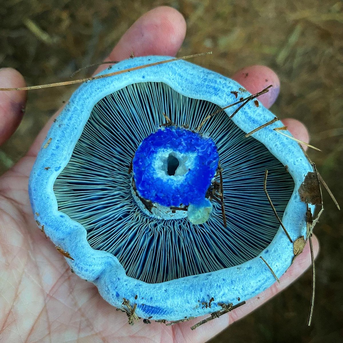 Meg Madden tweet media